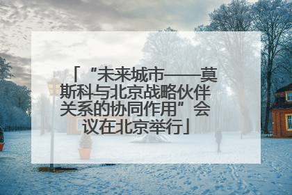 “未来城市——莫斯科与北京战略伙伴关系的协同作用”会议在北京举行