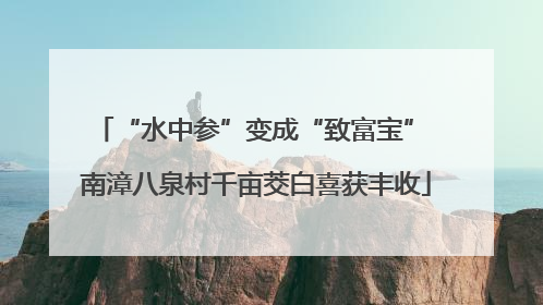 “水中参”变成“致富宝” 南漳八泉村千亩茭白喜获丰收
