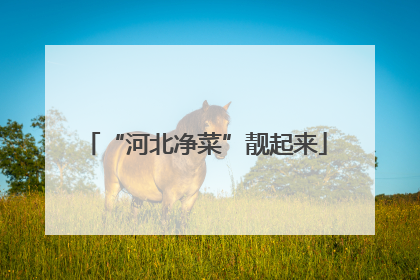 “河北净菜”靓起来