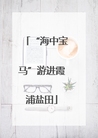 “海中宝马”游进霞浦盐田