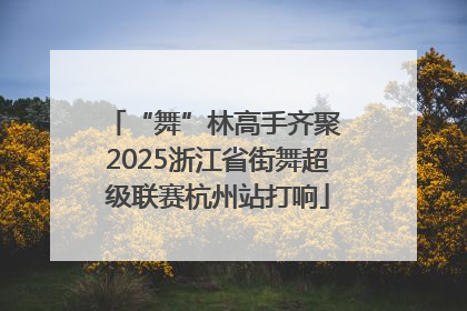 “舞”林高手齐聚 2025浙江省街舞超级联赛杭州站打响
