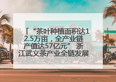 “茶叶种植面积达12.5万亩，全产业链产值达57亿元” 浙江武义茶产业全链发展“加速度”