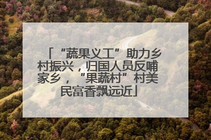 “蔬果义工”助力乡村振兴，归国人员反哺家乡，“果蔬村”村美民富香飘远近