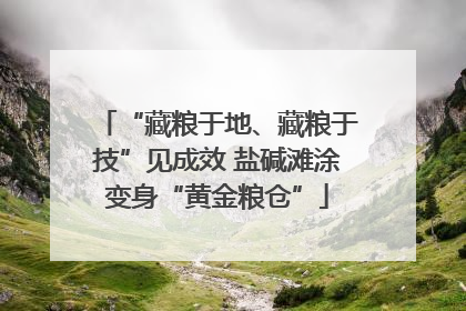 “藏粮于地、藏粮于技”见成效 盐碱滩涂变身“黄金粮仓”