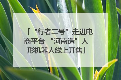 “行者二号”走进电商平台 “河南造”人形机器人线上开售
