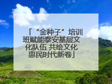 “金种子”培训班赋能泰安基层文化队伍 共绘文化惠民时代新卷