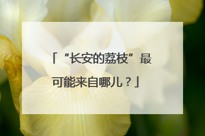 “长安的荔枝”最可能来自哪儿？