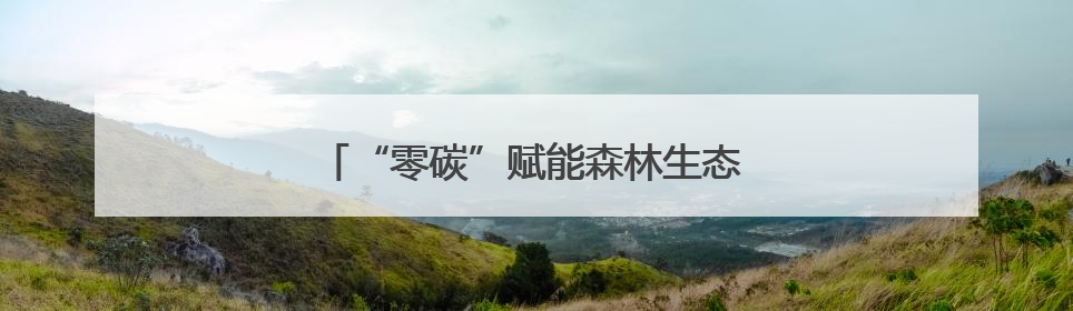 “零碳”赋能森林生态 北京公园暑期音乐季启动