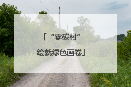“零碳村” 绘就绿色画卷
