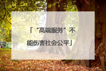 “高端服务”不能伤害社会公平