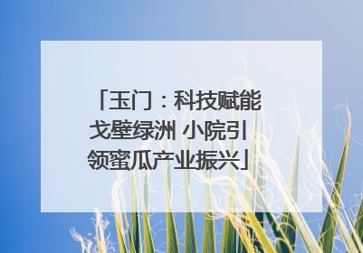 玉门：科技赋能戈壁绿洲 小院引领蜜瓜产业振兴
