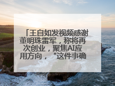 王自如发视频感谢董明珠雷军，称将再次创业，聚焦AI应用方向，“这件事确实来钱快”