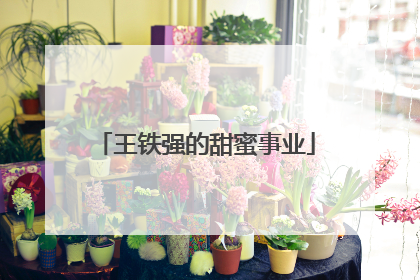王铁强的甜蜜事业