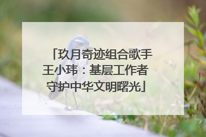 玖月奇迹组合歌手王小玮：基层工作者守护中华文明曙光