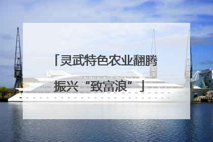 灵武特色农业翻腾振兴“致富浪”