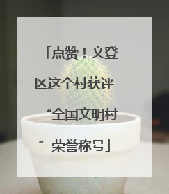 点赞！文登区这个村获评“全国文明村”荣誉称号
