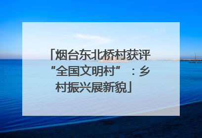烟台东北桥村获评“全国文明村”：乡村振兴展新貌