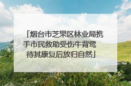 烟台市芝罘区林业局携手市民救助受伤牛背鹭 待其康复后放归自然