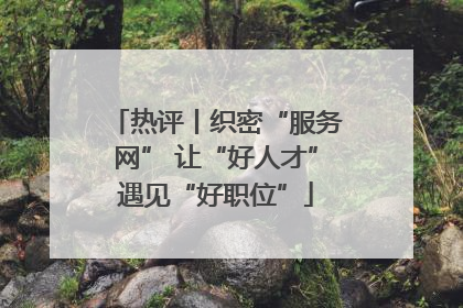 热评丨织密“服务网” 让“好人才”遇见“好职位”
