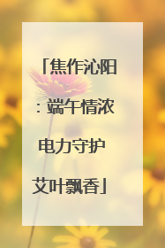 焦作沁阳：端午情浓 电力守护艾叶飘香