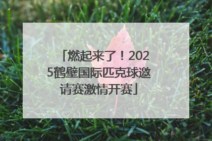 燃起来了！2025鹤壁国际匹克球邀请赛激情开赛