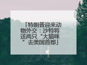 特朗普迎来动物外交：沙特将送两只“大猫咪”去美国首都