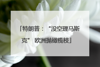 特朗普：“没空理马斯克” 欧洲抛橄榄枝