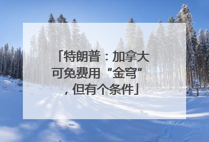特朗普：加拿大可免费用“金穹”，但有个条件