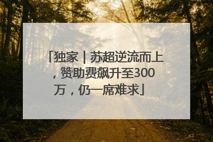 独家｜苏超逆流而上，赞助费飙升至300万，仍一席难求
