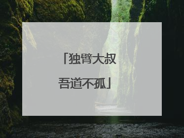 独臂大叔 吾道不孤