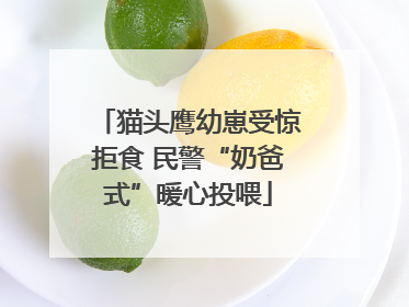 猫头鹰幼崽受惊拒食 民警“奶爸式”暖心投喂
