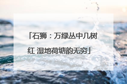 石狮：万绿丛中几树红 湿地荷塘韵无穷