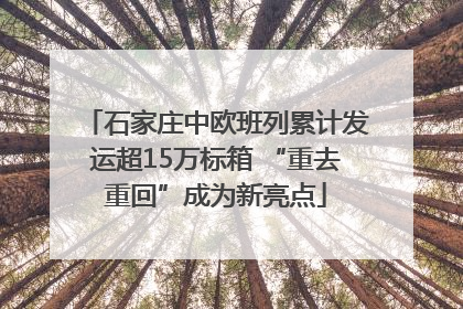 石家庄中欧班列累计发运超15万标箱 “重去重回”成为新亮点