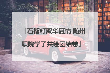 石榴籽聚华夏情 随州职院学子共绘团结卷
