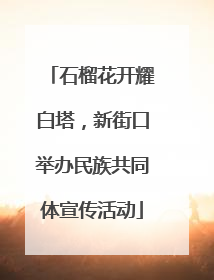 石榴花开耀白塔，新街口举办民族共同体宣传活动