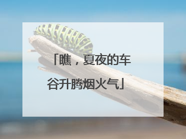 瞧，夏夜的车谷升腾烟火气