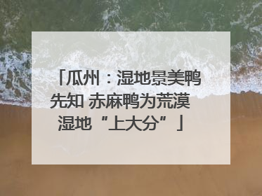 瓜州：湿地景美鸭先知 赤麻鸭为荒漠湿地“上大分”