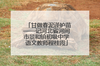 甘做春泥谨护苗——记河北省河间市景和镇初级中学语文教师程桂霞