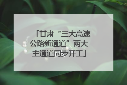 甘肃“三大高速公路新通道”两大主通道同步开工