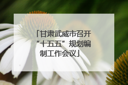 甘肃武威市召开“十五五”规划编制工作会议