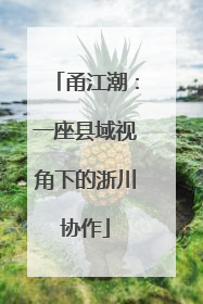 甬江潮：一座县域视角下的浙川协作
