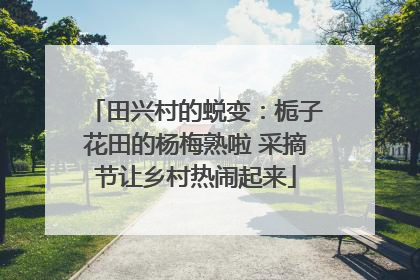 田兴村的蜕变：栀子花田的杨梅熟啦 采摘节让乡村热闹起来