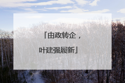 由政转企，叶建强履新