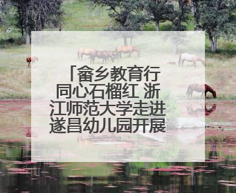 畲乡教育行 同心石榴红 浙江师范大学走进遂昌幼儿园开展铸牢中华民族共同体意识教育