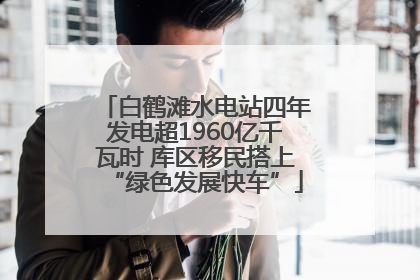 白鹤滩水电站四年发电超1960亿千瓦时 库区移民搭上“绿色发展快车”