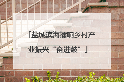 盐城滨海擂响乡村产业振兴“奋进鼓”