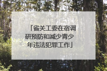 省关工委在宿调研预防和减少青少年违法犯罪工作
