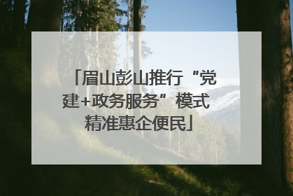 眉山彭山推行“党建+政务服务”模式 精准惠企便民