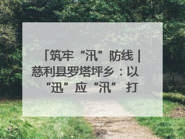 筑牢“汛”防线｜慈利县罗塔坪乡：以“迅”应“汛” 打赢暴雨防御战