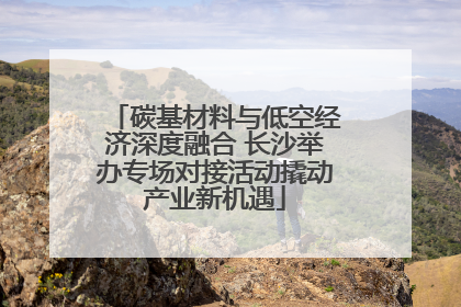 碳基材料与低空经济深度融合 长沙举办专场对接活动撬动产业新机遇